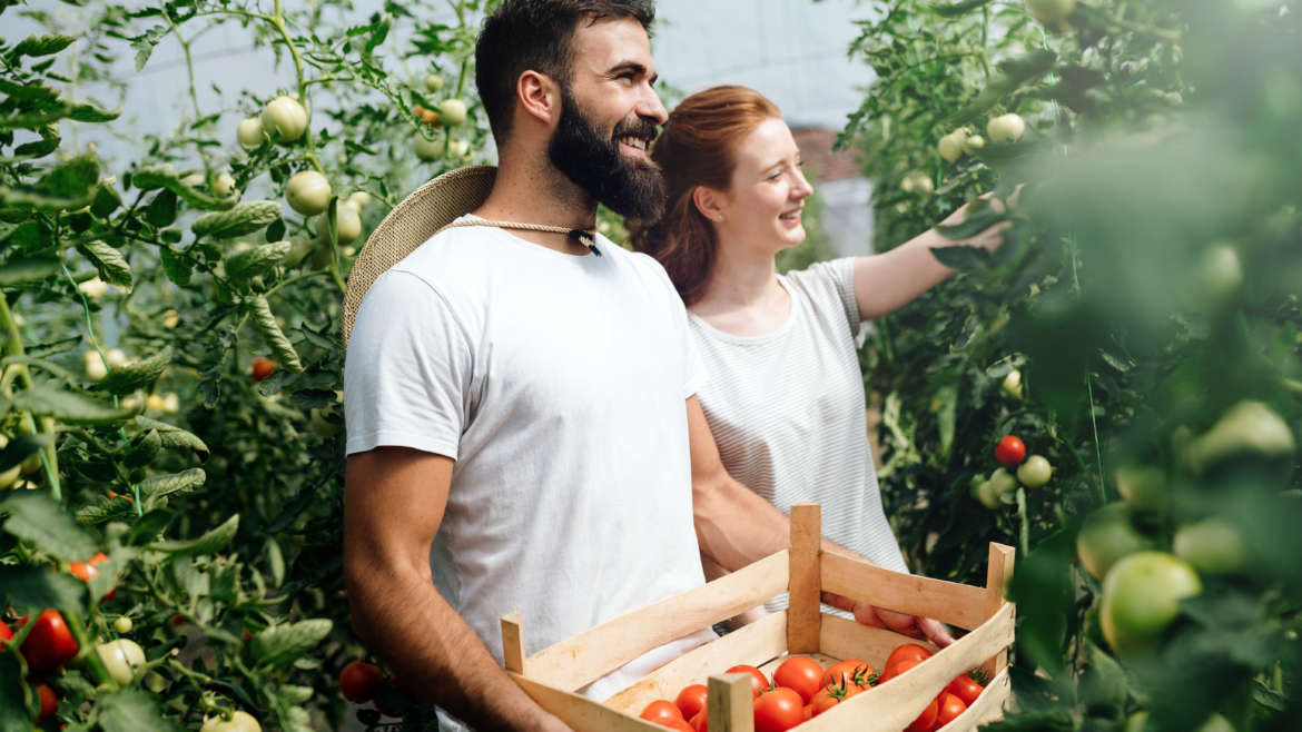 Pourquoi consommer local?